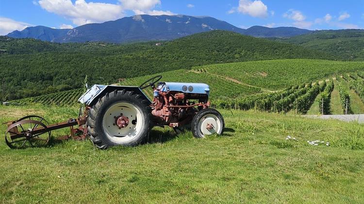 Το Στρατηγικό Σχέδιο της ΚΑΠ 2023-2027 που υποβλήθηκε στην Ευρωπαϊκή Επιτροπή