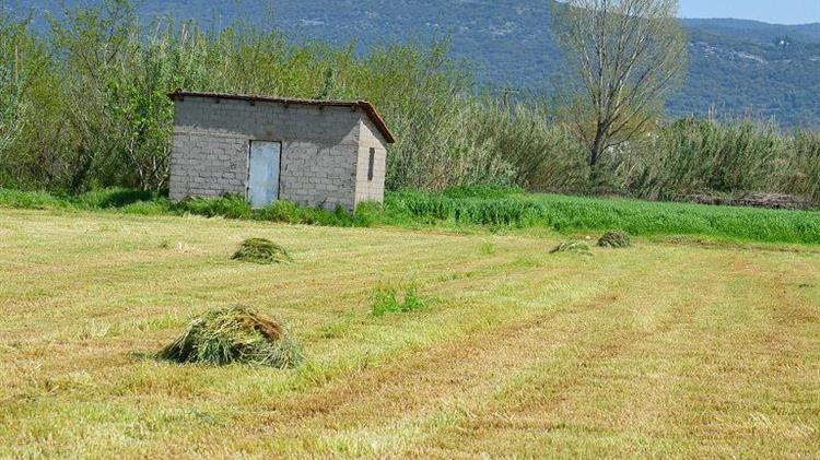 Επέκταση των μέτρων στήριξης από τις επιπτώσεις της διεθνούς ενεργειακής κρίσης στις αγροτικές επιχειρήσεις που είναι συνδεδεμένες στη Μέση Τάση