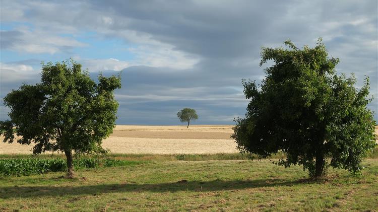 ΟΠΕΚΕΠΕ: Σκάνδαλο σε συγκάλυψη – Αγρότες σε απόγνωση