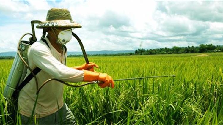 Πιο κοντά η Κίνα στις γενετικά τροποποιημένες καλλιέργειες