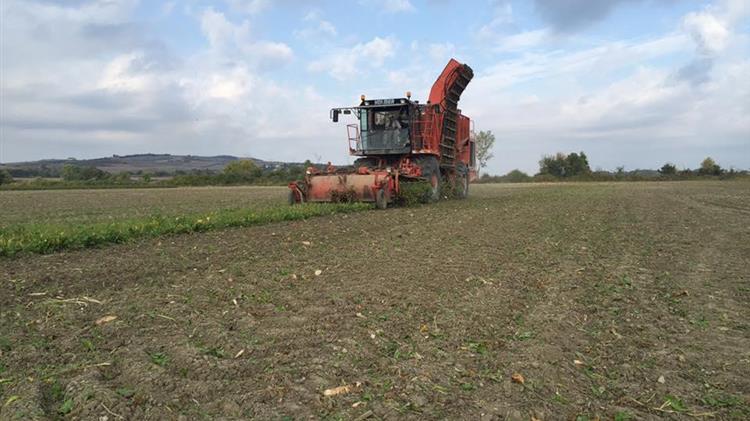 Καταγγελία των προδομένων τευτλοπαραγωγών