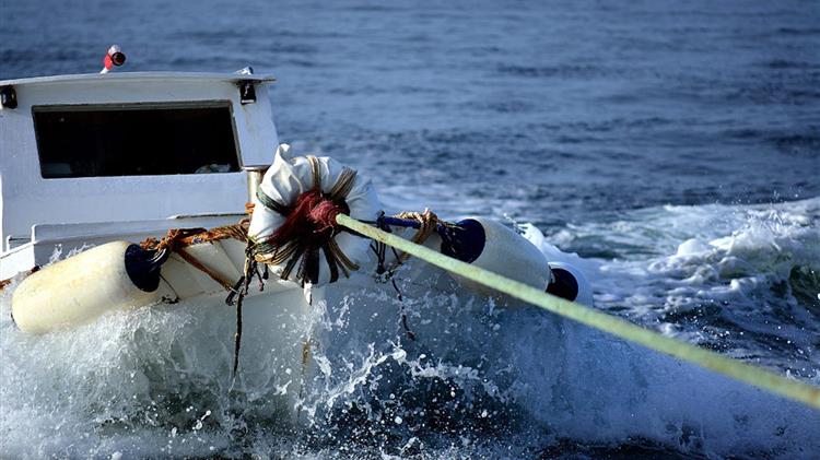 Αποζημίωση στα αλιευτικά σκάφη της παράκτιας αλιείας