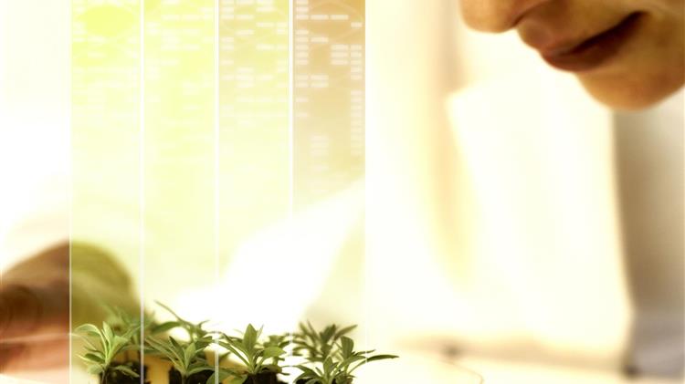 Η Bayer παρουσιάζει τις εξελίξεις στο μεγαλύτερο πρόγραμμα Ε&Α για τον κλάδο της γεωργίας