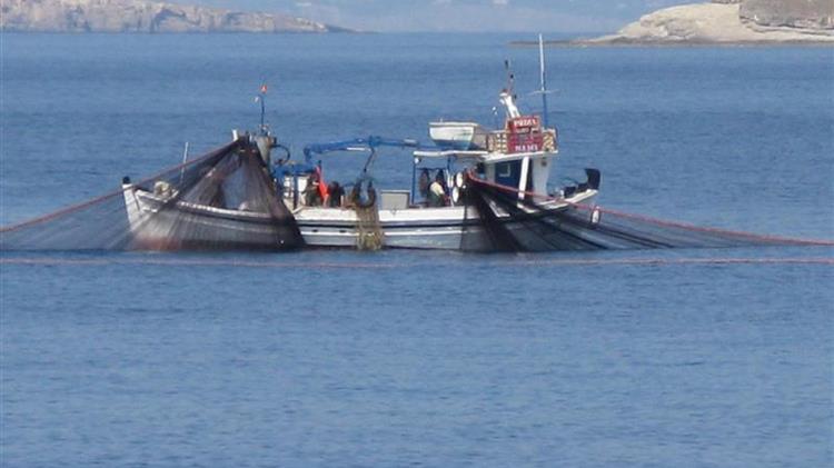 Προθεσμία υποβολής αιτήσεων για διαγραφή του αλιευτικού εργαλείου "γρίπος"