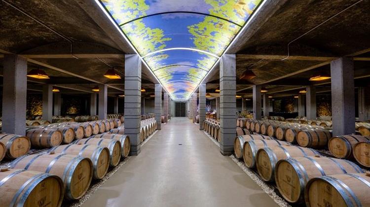 ΝΙΚΟΣ ΛΑΖΑΡΙΔΗΣ ΑΕ: Υψηλές επιδόσεις σε μια χρονιά απαιτήσεων