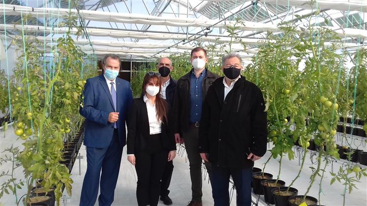 Επίσκεψη του Δημάρχου Θέρμης στο πρωτοποριακό θερμοκήπιο της ΟΕΤ