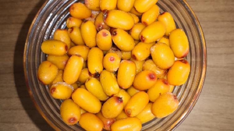 Ένα από τα καλύτερα στον κόσμο θεωρείται το ελληνικό ιπποφαές