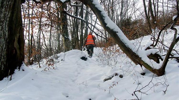 Απαγόρευση θήρας λόγω χιονοπτώσεων