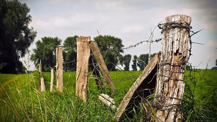 Βοοτροφία: Γιατί αλλάζει η εφαρμογή της συνδεδεμένης ενίσχυσης