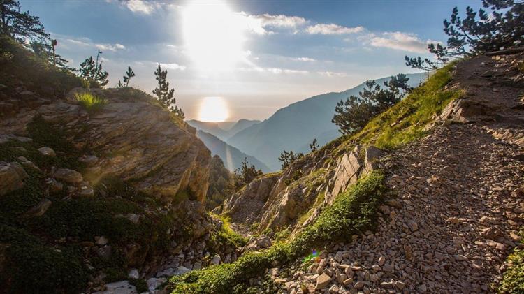 Αμυράς: «Τέλος τα fake news για τον Ο.ΦΥ.ΠΕ.Κ.Α.  Το νέο μοντέλο διοίκησης προστατεύει τη βιοποικιλότητα»