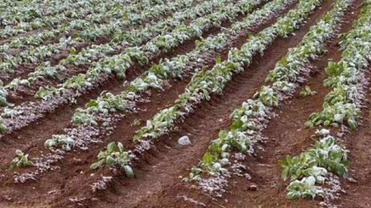 ΕΛΓΑ: Αιτήσεις για τις θεομηνίες 2019