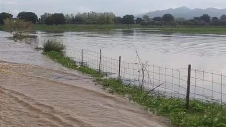 ΣΥΡΙΖΑ Δυτικής Αχαΐας: Φρούδες ελπίδες οι υποσχέσεις του Υπ. Αγροτικής Ανάπτυξης