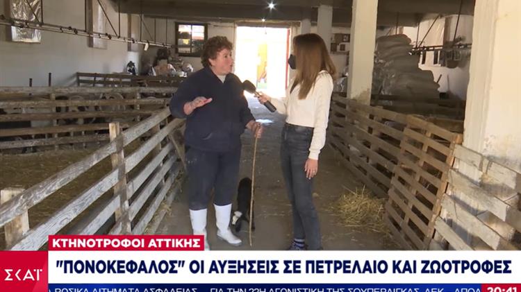 ΠΟΝΟΚΕΦΑΛΟΣ η ακρίβεια σε ενέργεια & ζωοτροφές