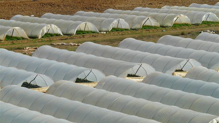 Παράταση προθεσμίας για τις επενδύσεις σε θερμοκήπια
