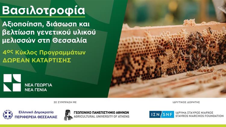 Βασιλοτροφία: Αξιοποίηση, διάσωση και βελτίωση γενετικού υλικού μελισσών στη Θεσσαλία