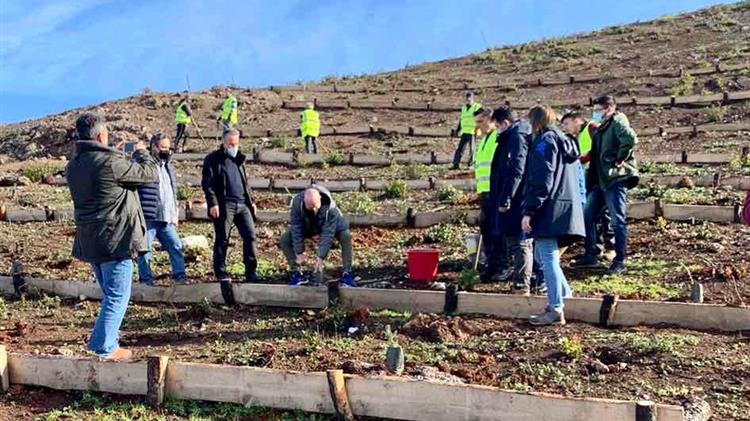 4.000 δέντρα φυτεύτηκαν στην πυρόπληκτη περιοχή της Λίμνης Ευβοίας