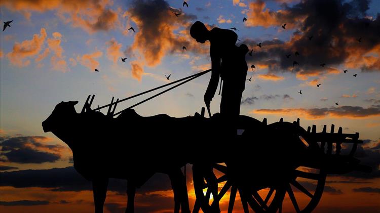 Τα λεφτά της ΚΑΠ στους αγρότες- τέλος στα παιχνίδια με τους κοινοτικούς πόρους