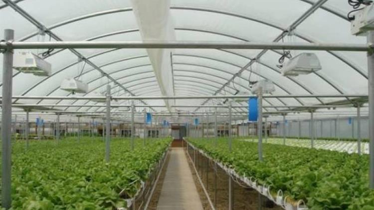 Παρατείνεται η προθεσμία υποβολής αιτήσεων για θερμοκήπια και στέγαστρα φυτικής παραγωγής