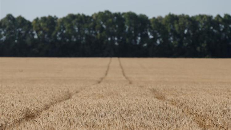 Πως οι κυρώσεις κατά της Ρωσίας ωφελούν τους παραγωγούς εμπορευμάτων ανταγωνιστικών κρατών