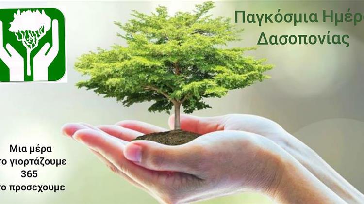 ΠΡΑΣΙΝΟ ΚΙΝΗΜΑ: «Το 15% του δασικού πλούτου της χώρας καταστρέφεται κάθε χρόνο»