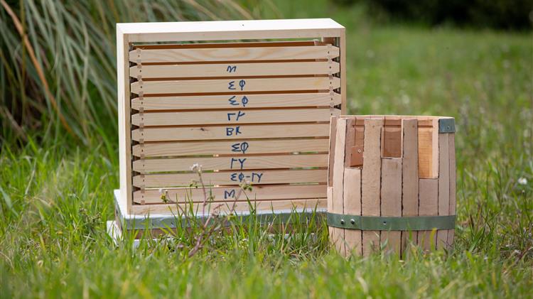 ΟΜΣΕ: Αύριο η πανελλήνια κινητοποίηση μελισσοκόμων στην Αθήνα