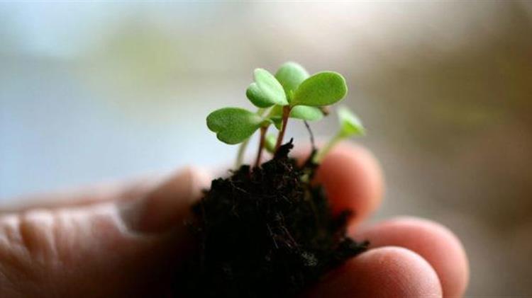 ΚΕΠΠΥΕΛ ΅Γρεβενών: Ενημέρωση σχετικά με την απόκτηση πολλαπλασιαστικού υλικού