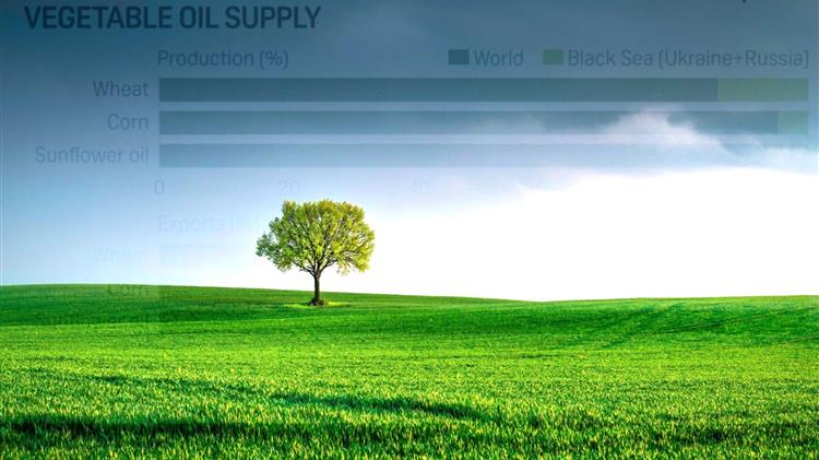 Γιατί αυξάνονται oι τιμές των αγροτικών προϊόντων και ειδικά των σιτηρών ;