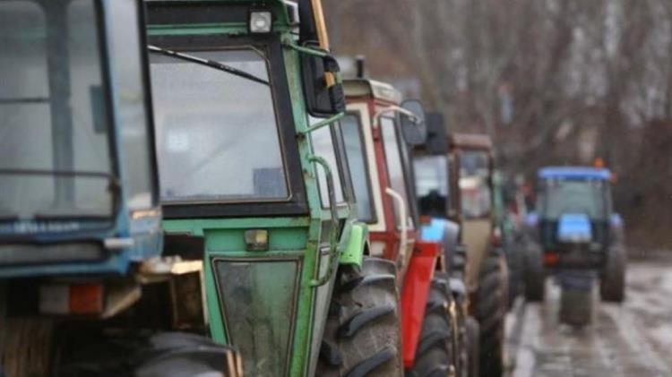 Ελαιοκαλλιεργητές: Κινητοποίηση στη Λαμία στις 7 Δεκεμβρίου