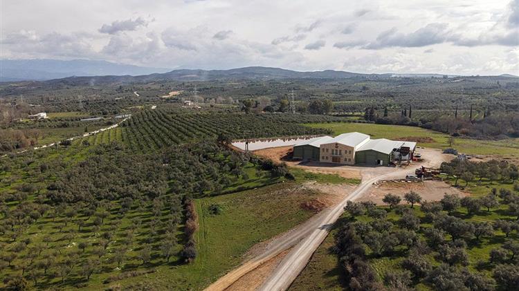 Πρώτο διεθνώς το ελαιόλαδο της ΜΟΛΩΝ ΛΑΒΕ AE