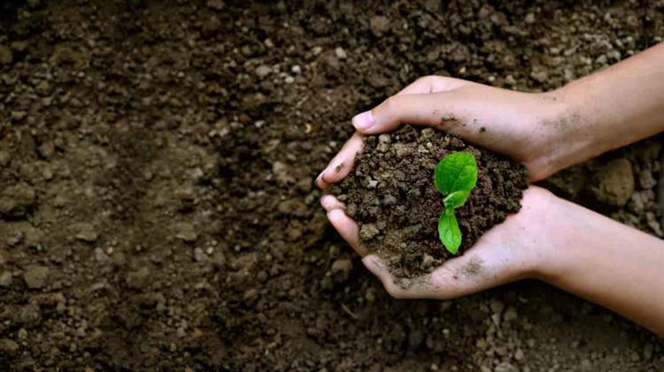 «Σώσε το Χώμα» - Ένα επείγον, παγκόσμιο κίνημα για την αποφυγή της επικείμενης οικολογικής κρίσης