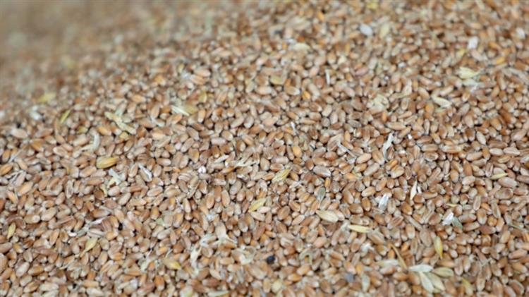 ΟΗΕ:Σταματήστε τους περιορισμούς στις εξαγωγές τροφίμων για να αποφευχθεί μια επισιτιστική κρίση