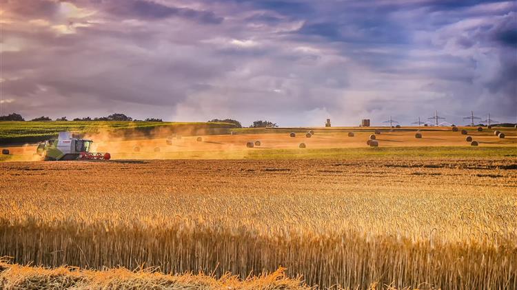 Σιτηρά: Οι εξαγωγείς σιταριού αναζητούν το επικερδές χάσμα της Ουκρανίας -Ρωσίας