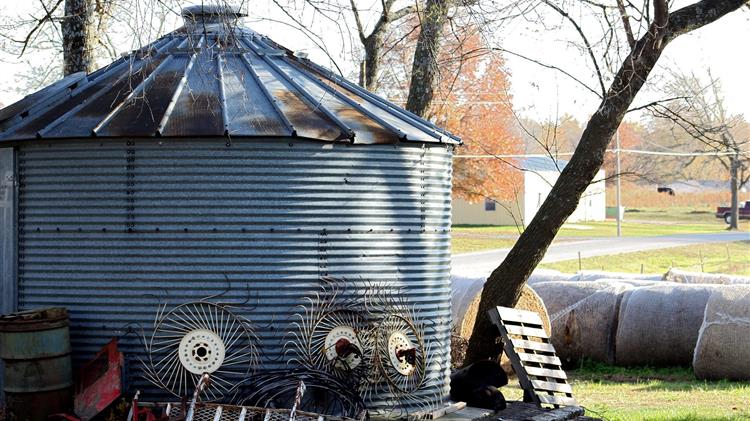 Προσωρινή διακοπή λειτουργίας της πλατφόρμας δήλωσης αποθεμάτων γεωργικών προϊόντων και τροφίμων
