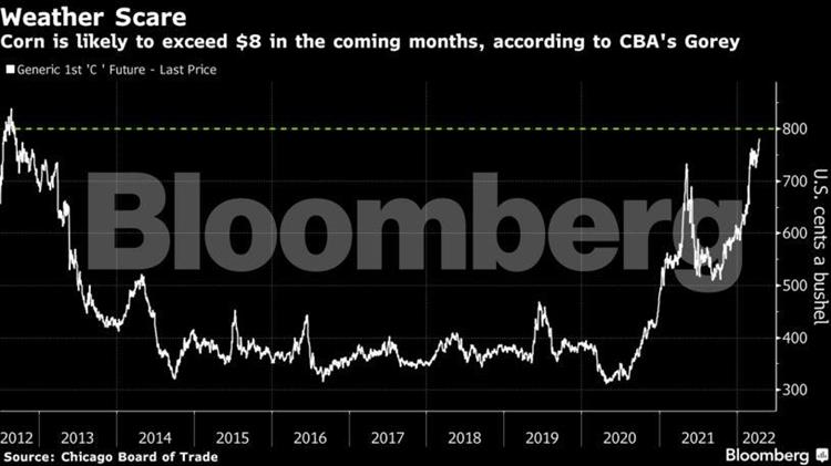 Πόλεμος και… υδράργυρος εκτοξεύουν την τιμή του καλαμποκιού προς τα $8