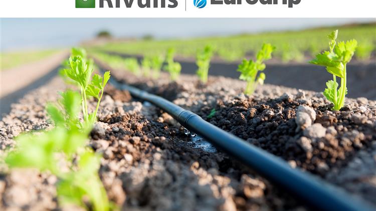 Μελέτη Περίπτωσης: Άρδευση ακτινιδίου στην Άρτα μέσω του έξυπνου συστήματος Manna της Rivulis Irrigation