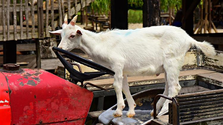 Τρακτέρ: Θα δοθεί παράταση για την Αψίδα προστασίας