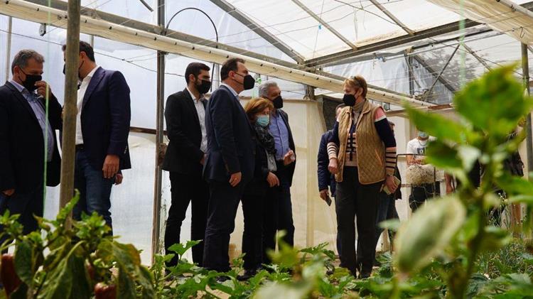 Γεωργαντάς από Κρήτη: Αυξάνεται το κονδύλι για τους Νέους Αγρότες