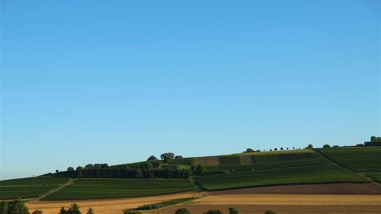 ΟΠΕΠΕΚΕ: Υποβολή αιτήσεων αναθεώρησης χορήγησης δικαιωμάτων βασικής ενίσχυσης από το εθνικό απόθεμα έτους 2021