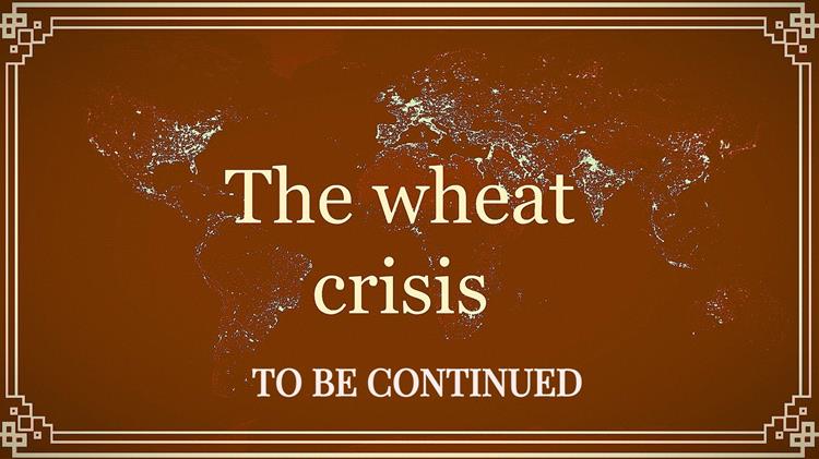 Τι συμβαίνει στην παγκόσμια αγορά στο σιτάρι και στο καλαμπόκι;