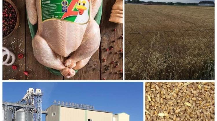 Βιομηχανία Ζωοτροφών Αμβροσιάδη ΑΒΕΕ: Συγκεντρώνει σιτηρά