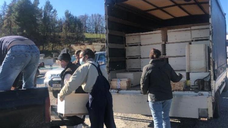 Παγκόσμια Ημέρα Μέλισσας: Το Beegin έκανε την αρχή…και συνεχίζει!