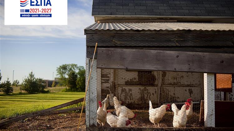 GATE DYNAMIC HOLDINGS: «Καινοτομία και πράσινη μετάβαση στη μεταποίηση αγροτικών προϊόντων»