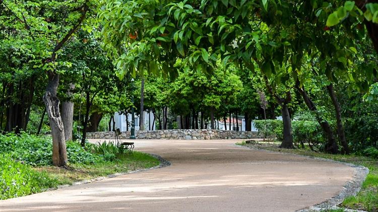 Ανανεώνεται ο Εθνικός Κήπος: 11.155 νέα δέντρα και φυτά ενισχύουν τον πνεύμονα πρασίνου στην “καρδιά” της πόλης