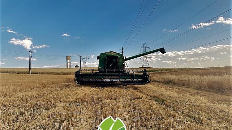 ΘΕΣγη: Ξεκίνησε η παραλαβή κριθαριού εσοδείας 2022