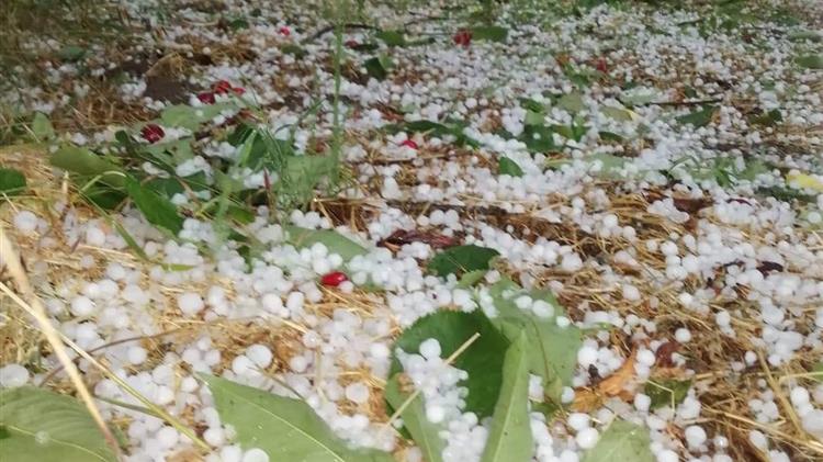 Καταστροφή στις καλλιέργειες της Αγιάς από το χαλάζι
