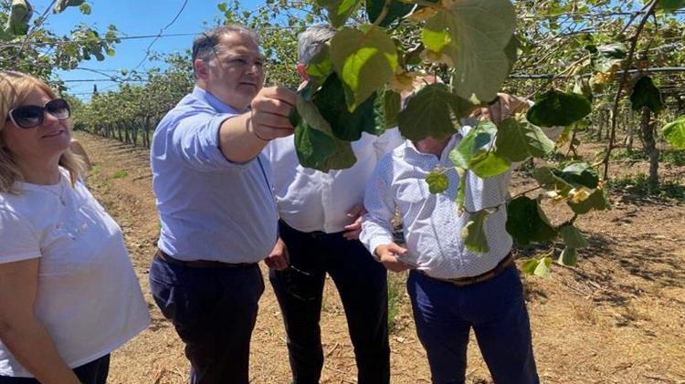 Γιώργος Στύλιος: Άμεσα η εκτίμηση των ζημιών στα ακτινίδια