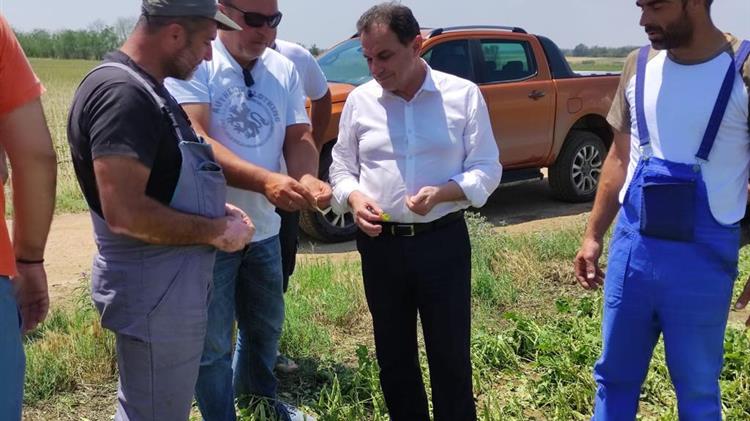 Γεωργαντάς: Σε ορισμένες περιπτώσεις η καταστροφή της παραγωγής είναι καθολική