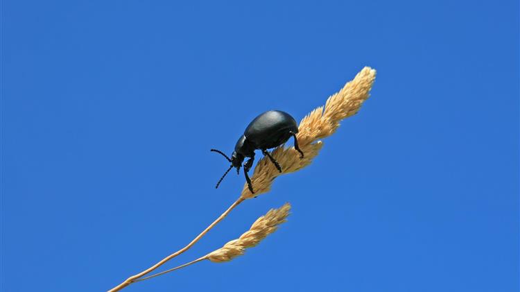 ΟΟΣΑ: Αυτό είναι το κόστος του πολέμου