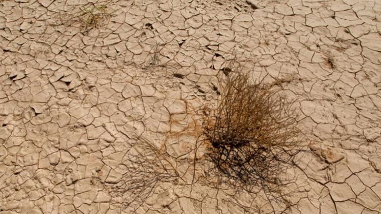 Λάρισα: “Xάθηκαν” 1,2 εκ. στρέμματα καλλιεργειών λόγω ερημοποίησης