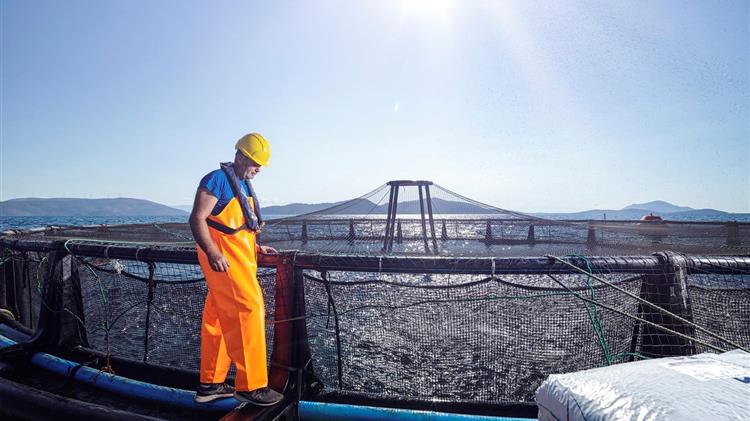 Στρατηγική συνεργασία μεταξύ της ΕΛΟΠΥ και του ΕΛΚΕΘΕ